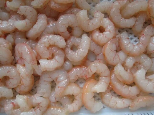 Deep Sea PUD Shrimp – Solenocera crassicornis